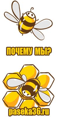Липовый мед густой